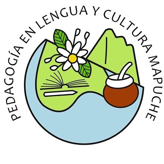 Aprender la lengua para después enseñarla el desafío de la pedagogía